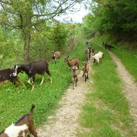 Bed & Breakfast Andric Fojnica