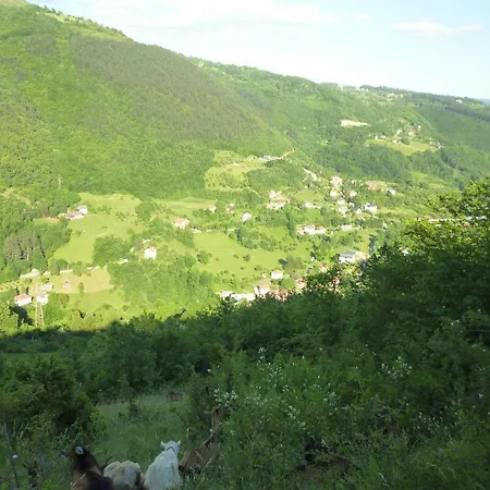 Andric