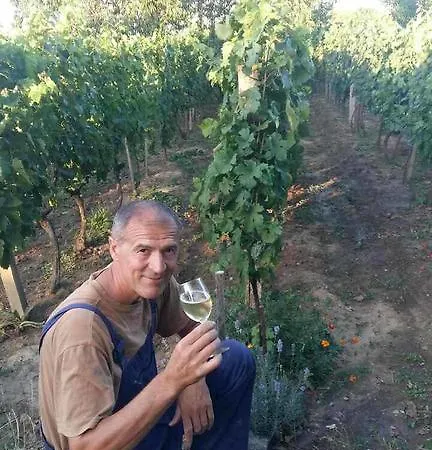 Andric Fojnica