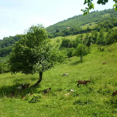 Frühstückspension Andric Fojnica