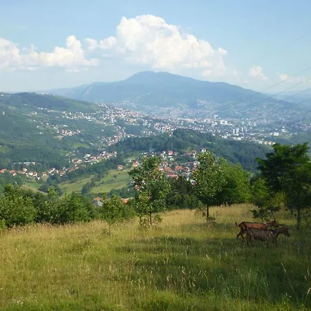 Bed & Breakfast Andric